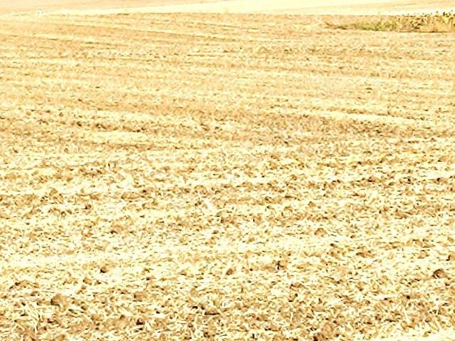 Çeşmeli Mahallesi, Marmaraereğlisi içerisinde satılık Arsa