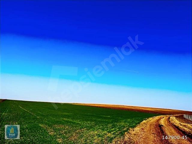 Çeşmeli Mahallesi, Marmaraereğlisi içerisinde satılık Arsa