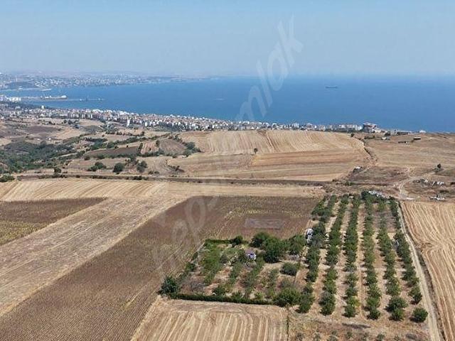 Tekirdağ Merkez, Tekirdağ içerisinde satılık Arsa