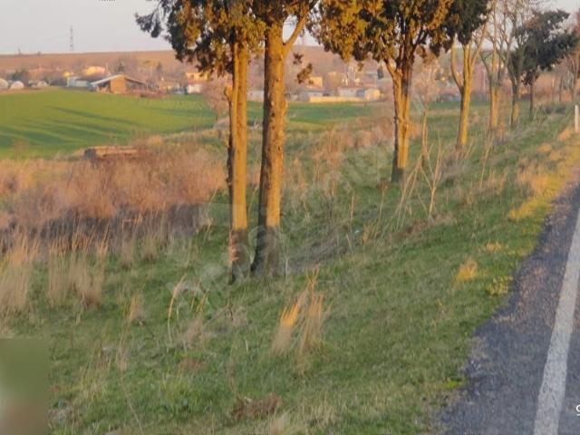 Tekirdağ Merkez, Tekirdağ içerisinde satılık Arsa