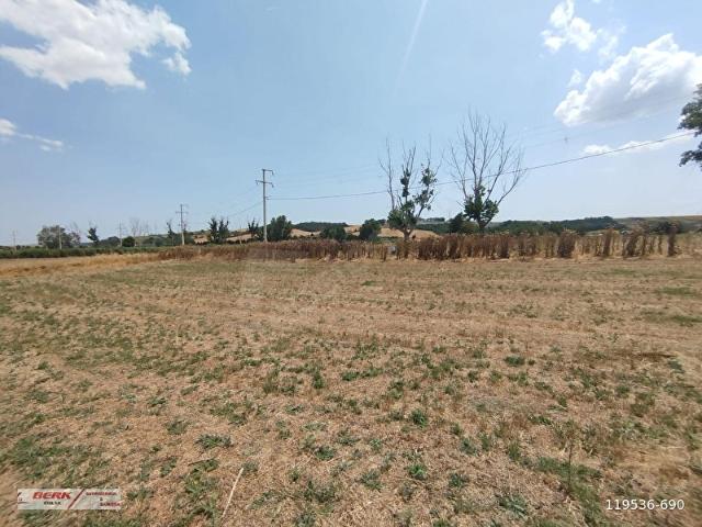 Muratli, Tekirdağ içerisinde satılık Arsa