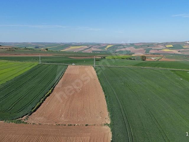 Muratli, Tekirdağ içerisinde satılık Arsa