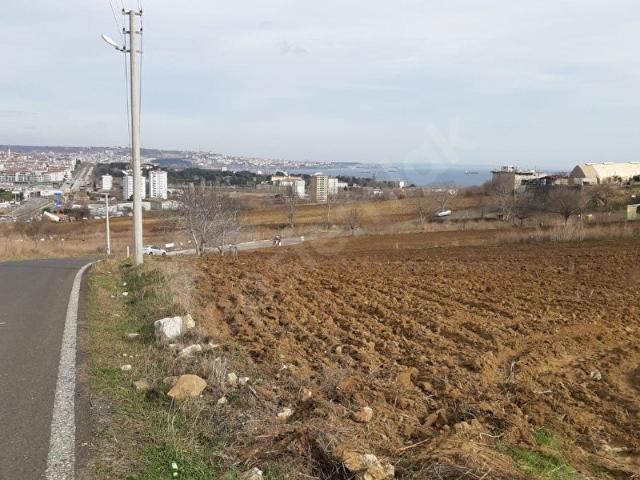 Tekirdağ, Süleymanpaşa içerisinde satılık Dükkan