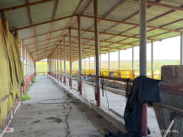Saray, Tekirdağ içerisinde satılık Arsa