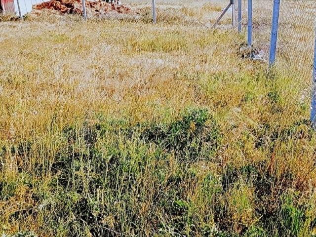 Büyükyoncalı Merkez Mahallesi, Saray içerisinde satılık Arsa