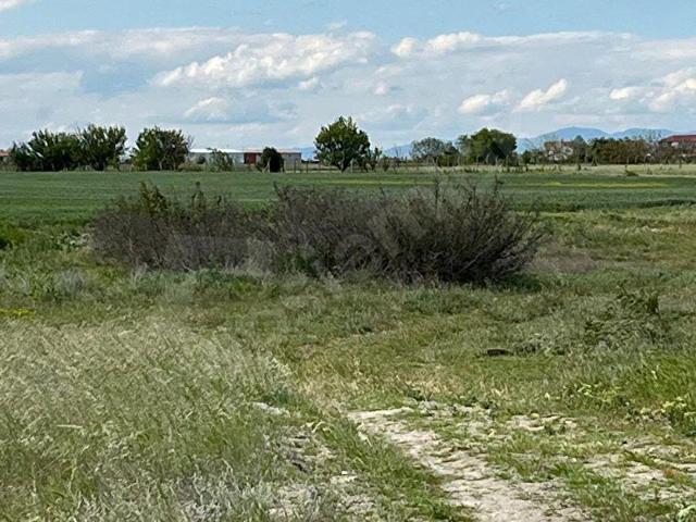 Saray, Tekirdağ içerisinde satılık Arsa