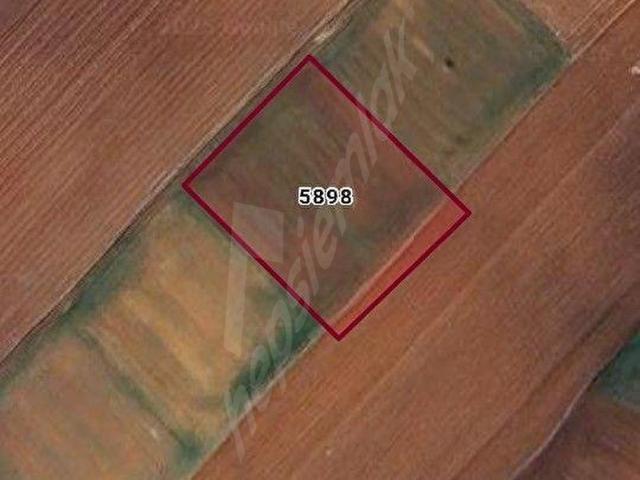 Alikarakoç Ağılı Mevkii, Süleymanpaşa içerisinde satılık Arsa
