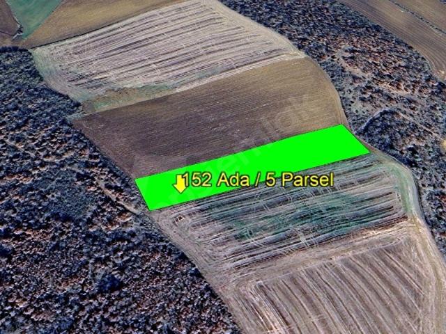 Hayrabolu, Tekirdağ içerisinde satılık Arsa