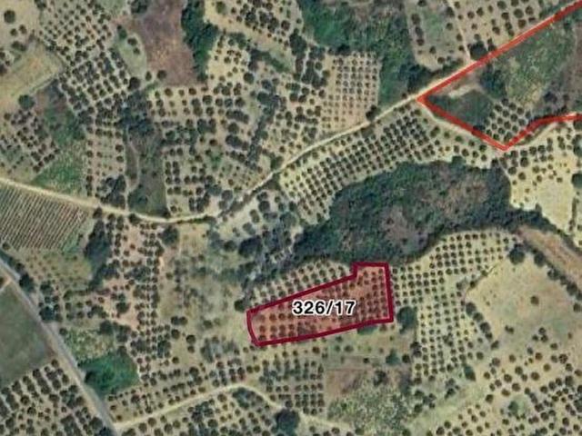 Hoşköy Mahallesi, Şarköy içerisinde satılık Arsa