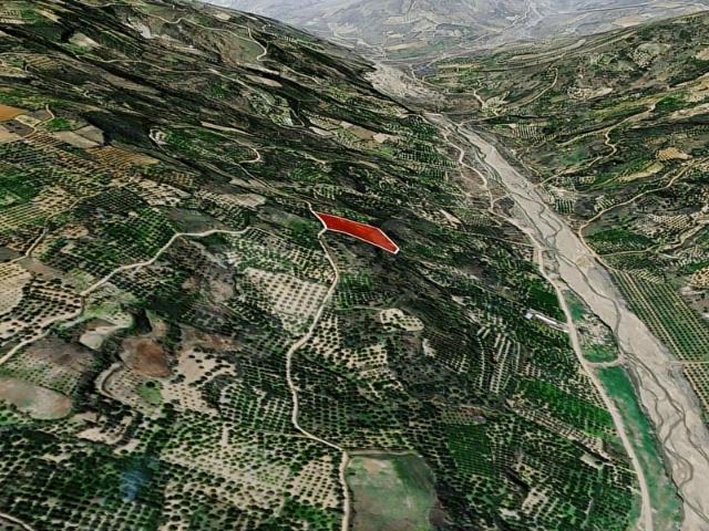 Hoşköy Mahallesi, Şarköy içerisinde satılık Arsa