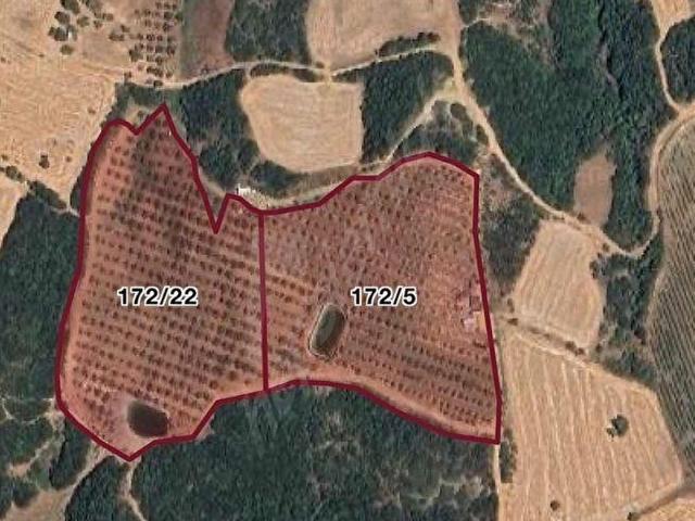 Şarköy, Tekirdağ içerisinde satılık Arsa