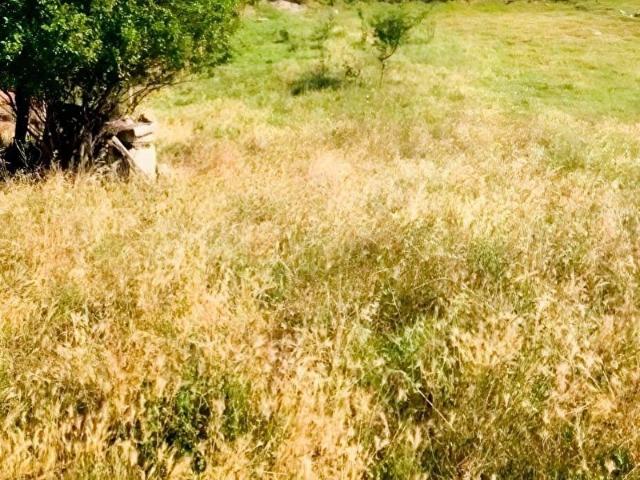 Hayrabolu, Tekirdağ içerisinde satılık mülk