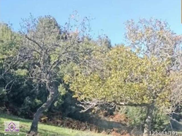 Örey, Hayrabolu içerisinde satılık Arsa