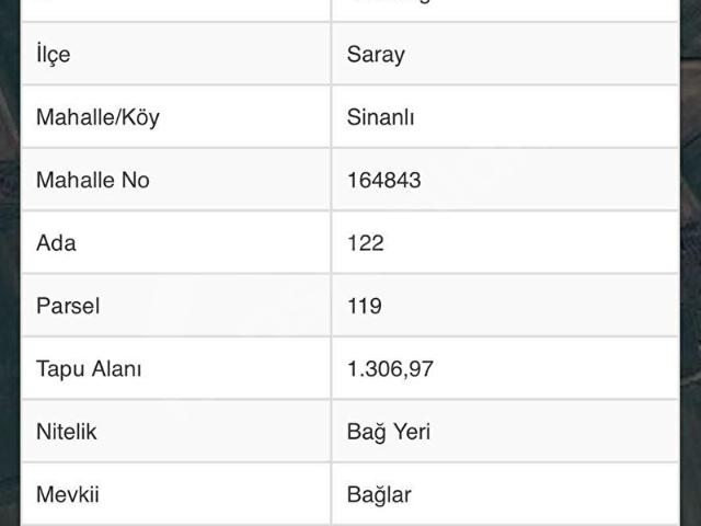 Servi, Saray içerisinde satılık Arsa