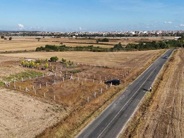 Saray, Tekirdağ içerisinde satılık Arsa