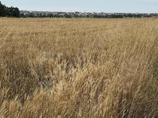 Yuvalı Mahallesi, Saray içerisinde satılık Arsa
