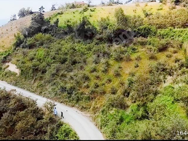 Tekkeköy, Samsun içerisinde satılık Arsa