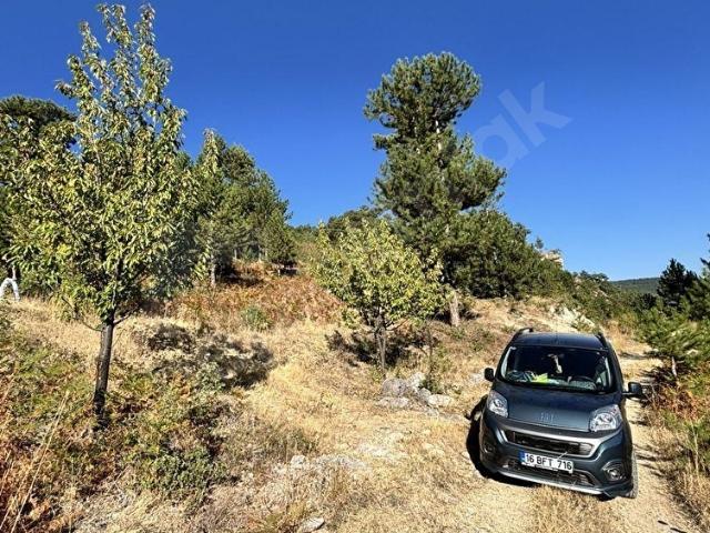 Keles, Bursa içerisinde satılık Arsa