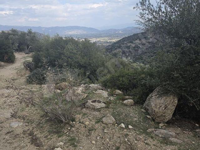 Karpuzlu, Aydin içerisinde satılık mülk