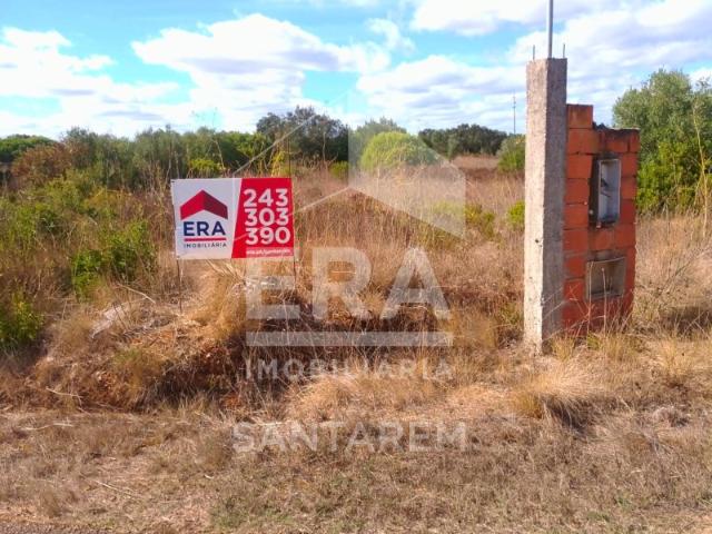Terreno venda em Santarém