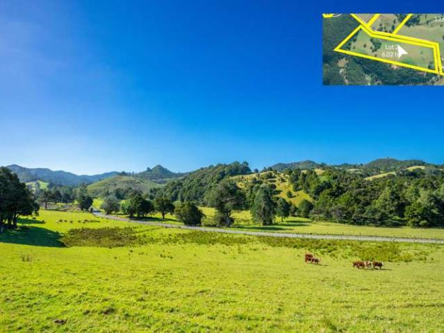 Land for sale in Parua Bay, Northland