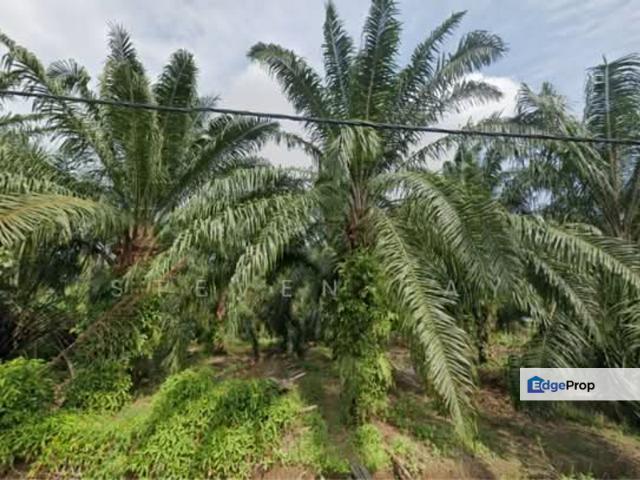 Warehouse for sale in Selangor