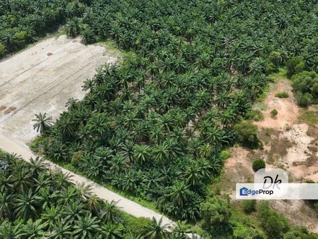 Warehouse for sale in Selangor