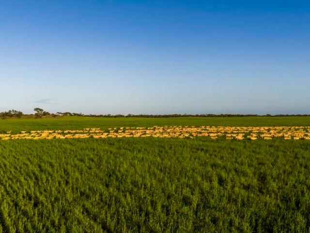 Cottage for sale in Telopea Downs, Victoria
