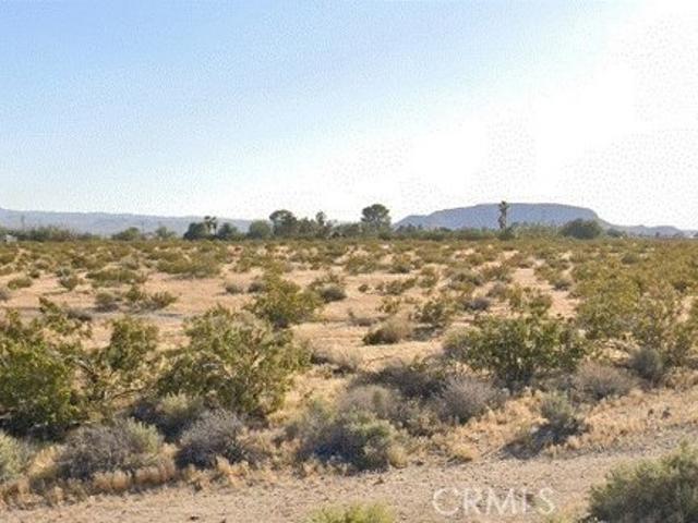 Land for sale in Yermo, California