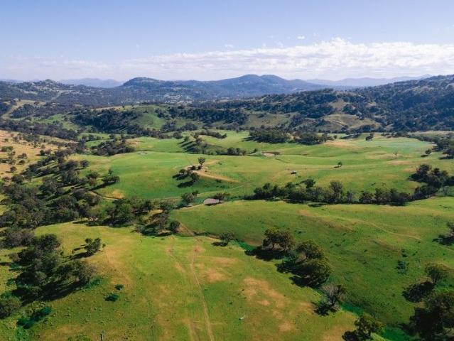 Cottage for sale in Willow Tree, New South Wales
