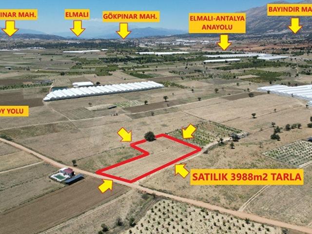Elmali, Antalya içerisinde satılık Arsa
