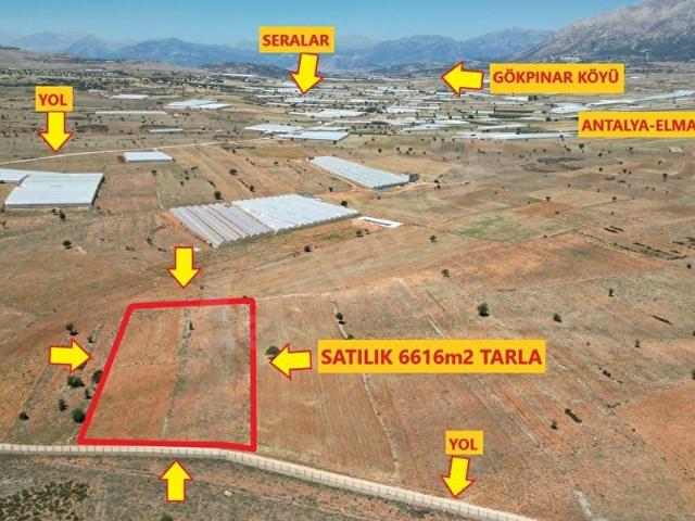 Elmali, Antalya içerisinde satılık Arsa