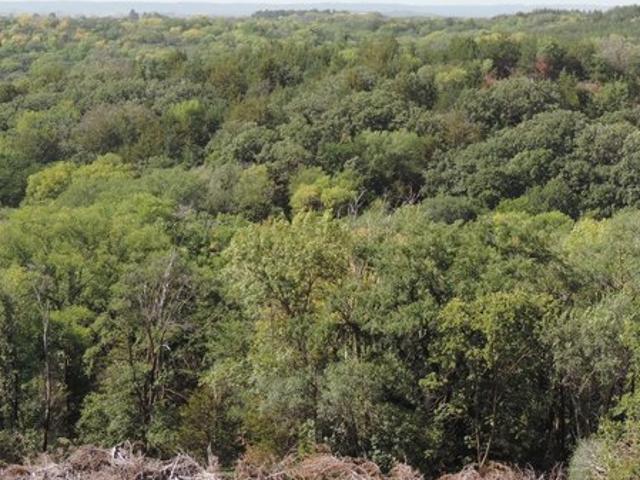 Land for sale in Yankton, South Dakota
