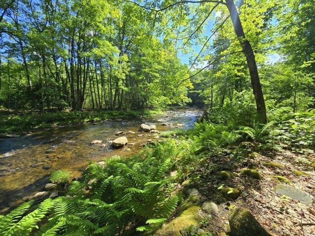 Land for sale in Wilton, Maine