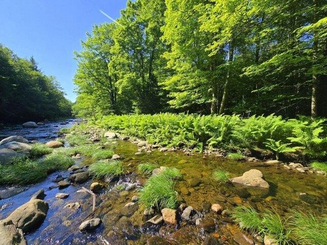 Land for sale in Wilton, Maine