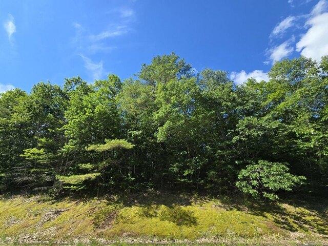 Land for sale in Wilton, Maine