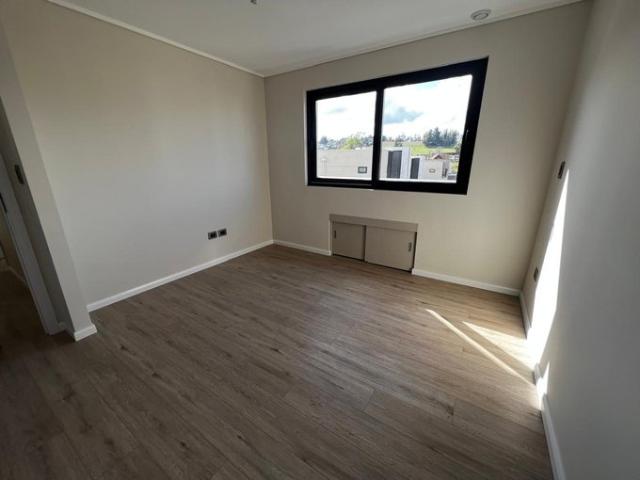 Temuco, Camino Botrolhue