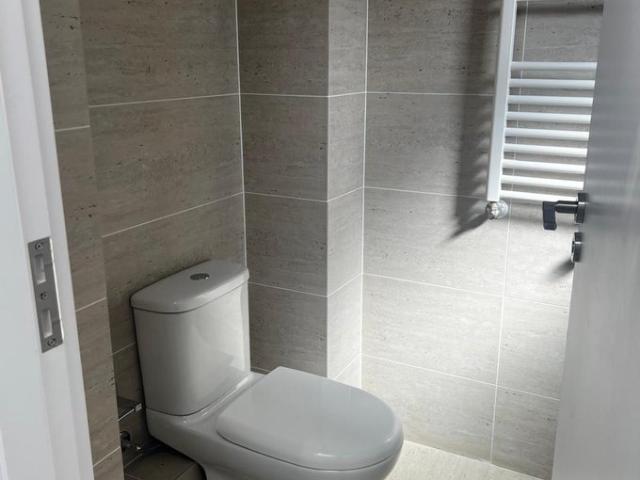 Temuco, Camino Botrolhue