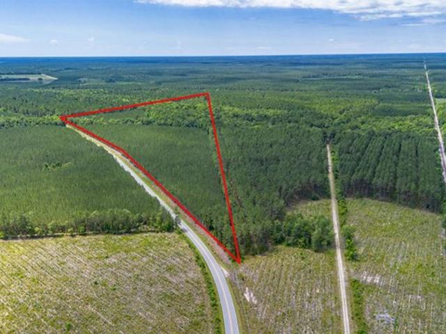 Land for sale in Andrews, South Carolina