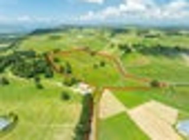 Land for sale in Waikato