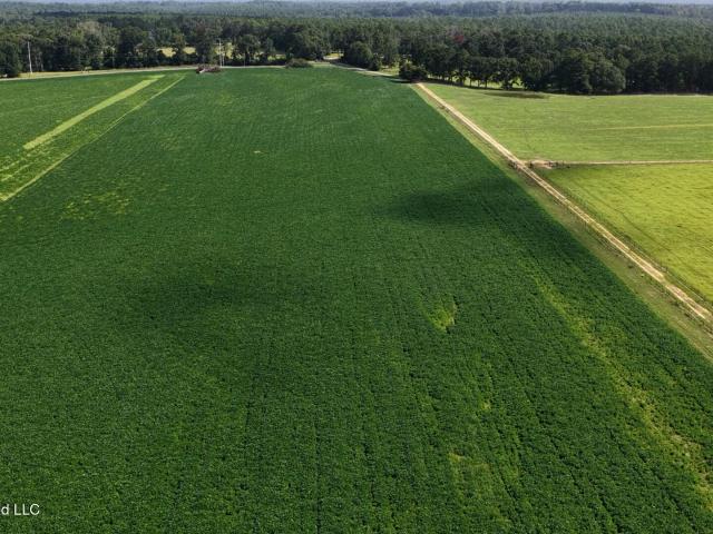 Land for sale in Mississippi