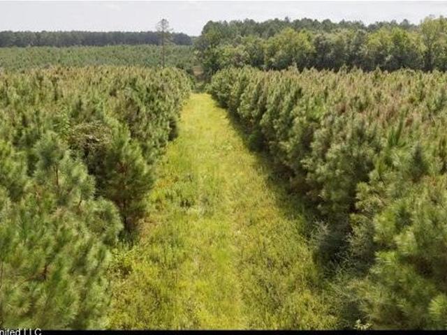 Land for sale in Tylertown, Mississippi