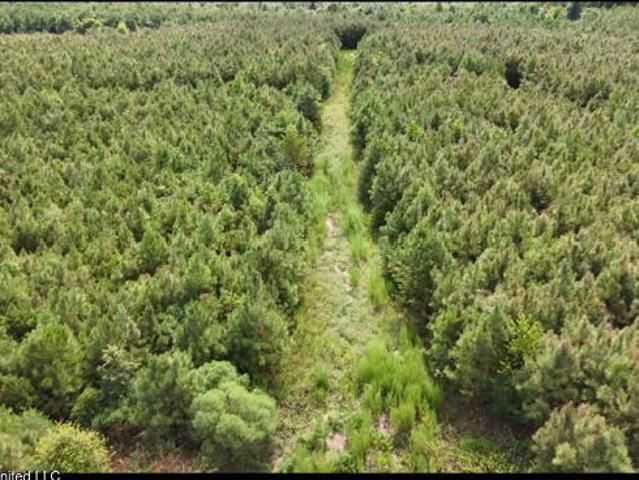 Land for sale in Tylertown, Mississippi
