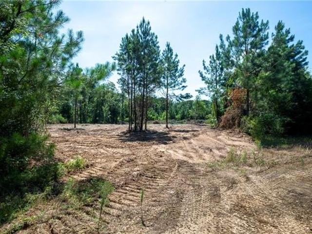 Land for sale in Pitkin, Louisiana