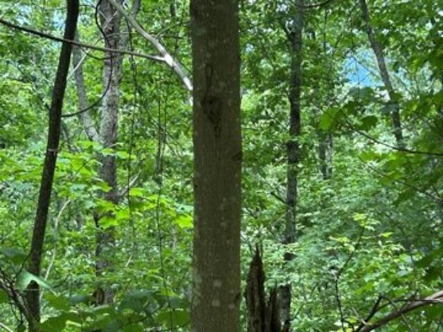 Land for sale in Murphy