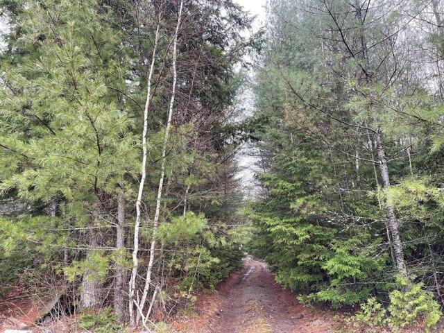 Land for sale in Bradley, Maine