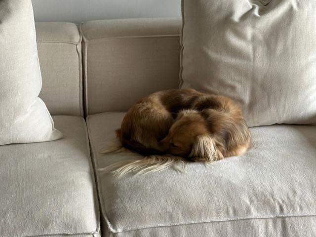 Room for rent in Toombul, Queensland