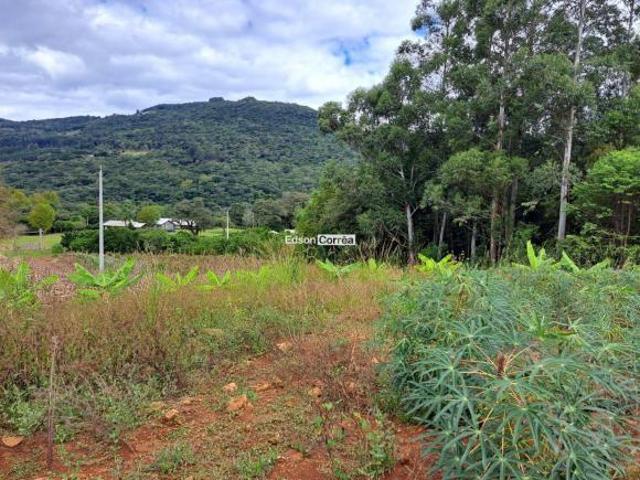 Sítio e chácara venda em Região Geográfica Imediata de Caxias do Sul, São Francisco de Paula