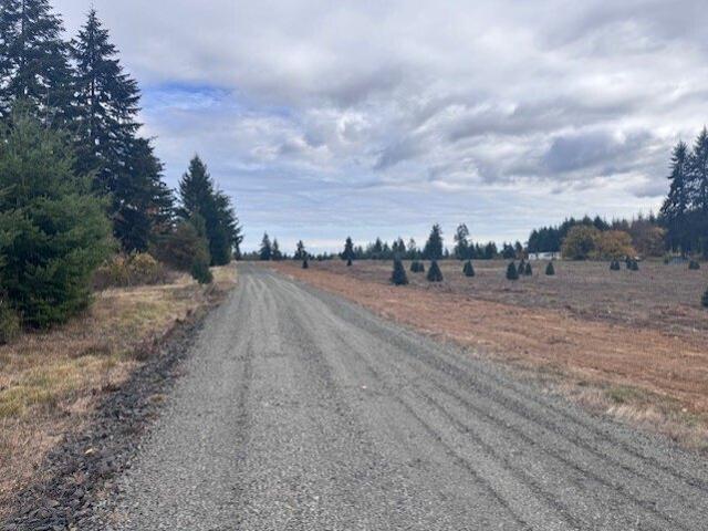Land for sale in Winlock, Lewis County