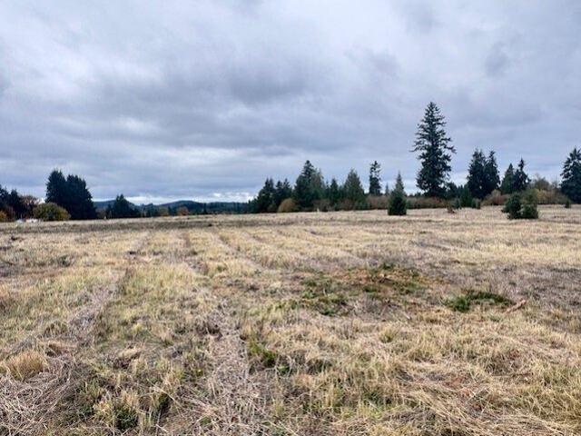 Land for sale in Winlock, Lewis County